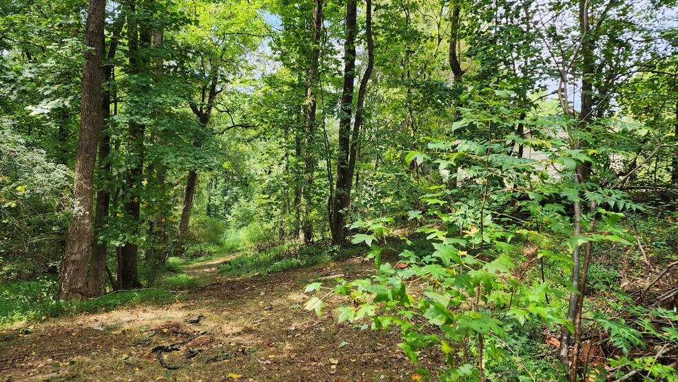 More Photos Of 1661 Friendship Rd, Hoschton Land For Sale