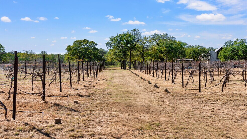 More Photos Of 25711 Hamilton Pool Rd, Round Mountain Specialty For Sale