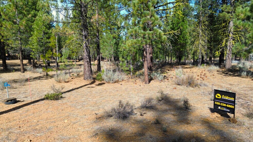 More Photos Of 42451 Blue Heron cir, Old Station Land For Sale