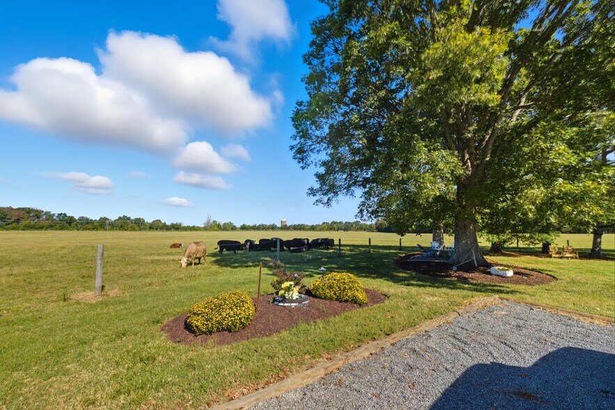 More Photos Of 5474 Woodside Ln, Bealeton Land For Sale