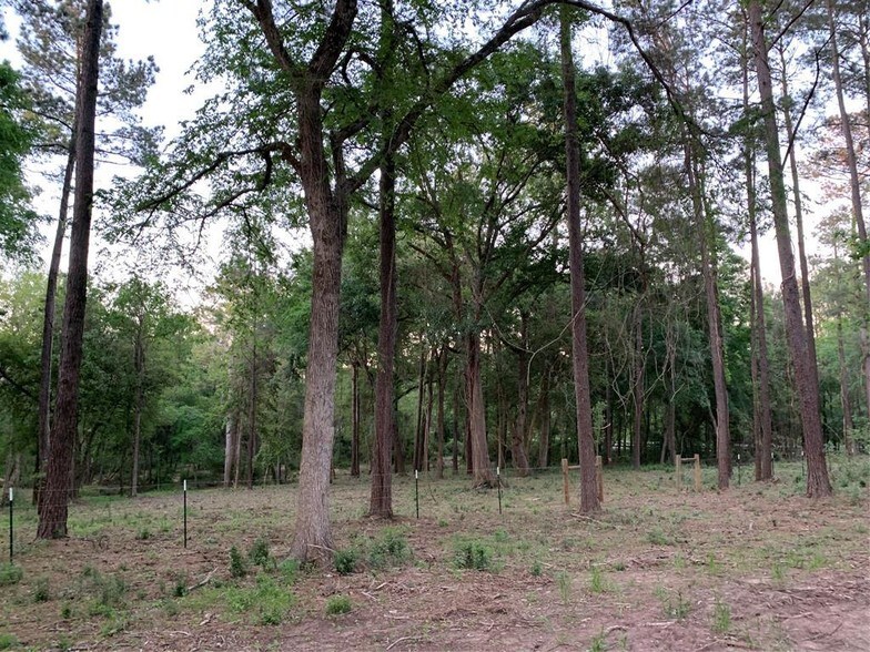More Photos Of Mueschke Rd @ Sanders Cemetary Rd, Tomball Land For Sale
