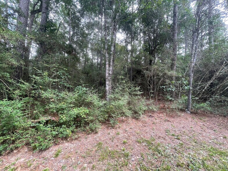 More Photos Of 3440 Corolla Rd, Magnolia Land For Sale