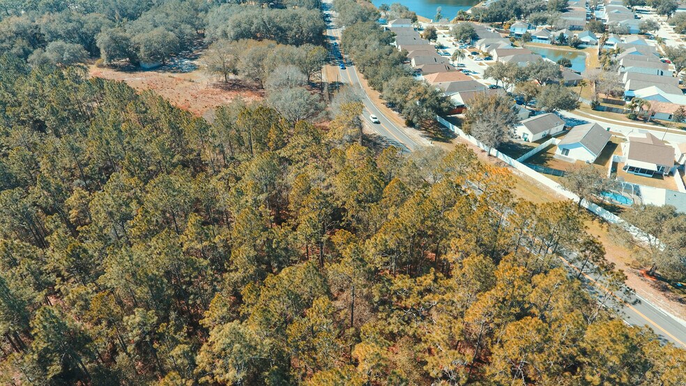 More Photos Of 30607 State Road 54, Wesley Chapel Land For Sale