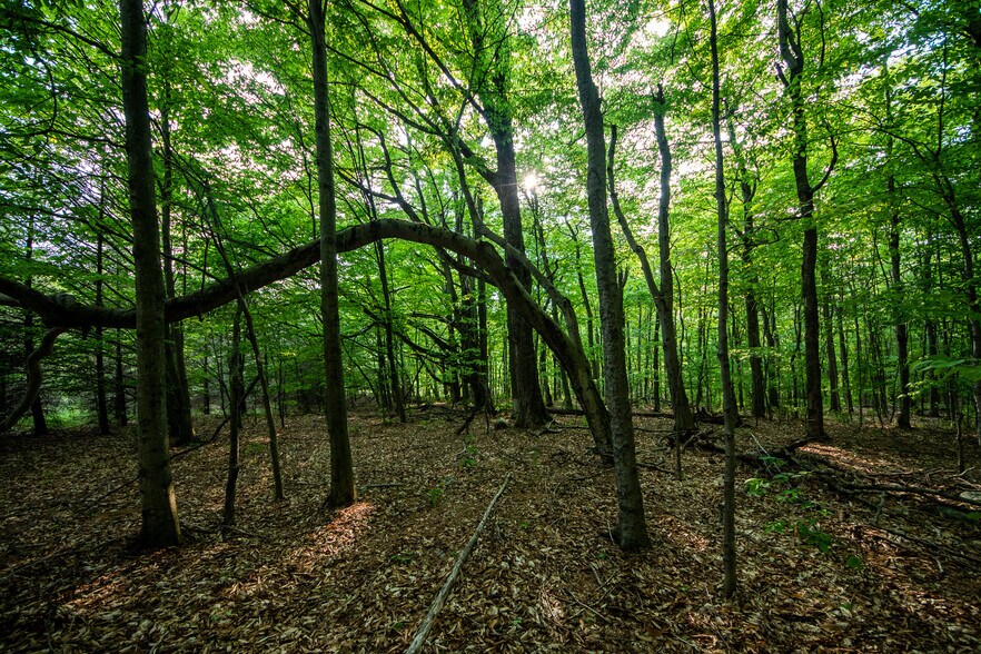 More Photos Of 1364 County Highway 12 rd, Mount Vision Storefront For Sale