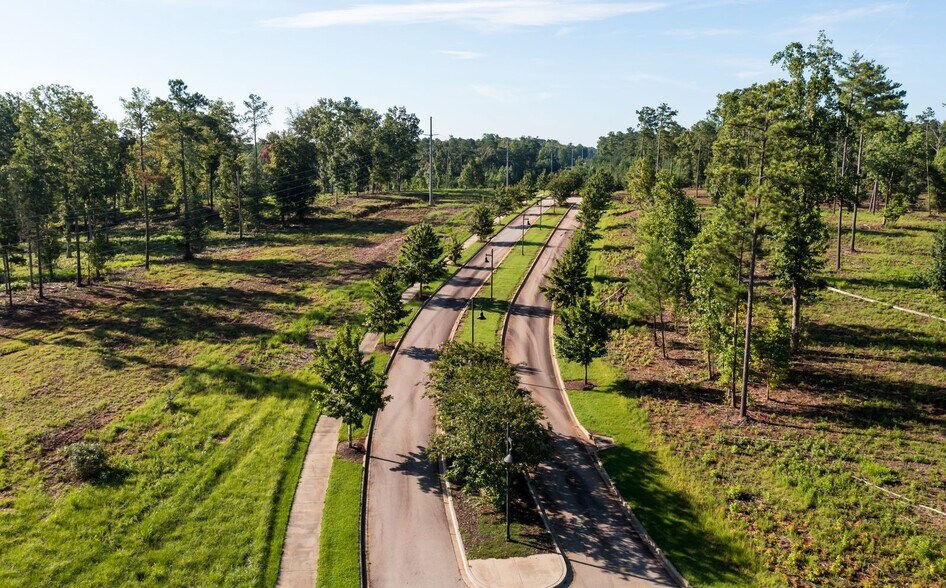 More Photos Of 301 Brighton Blvd, Chapin Land For Sale