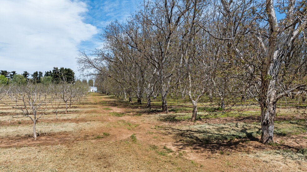 More Photos Of 2150 N Fine Road, Linden Land For Sale