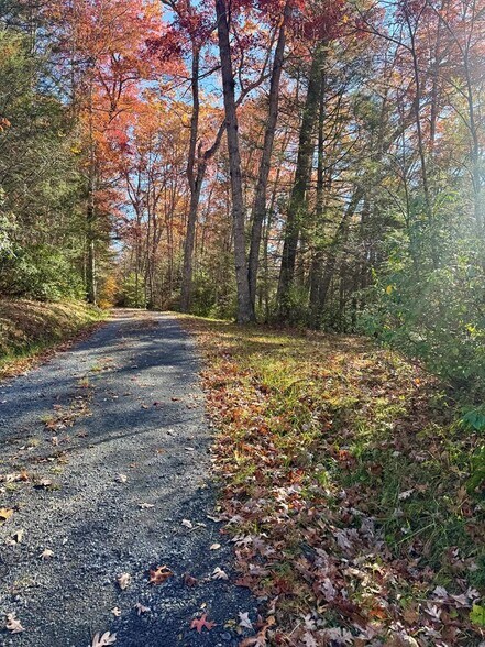 Primary Photo Of 58 Martin Ln, Nallen Land For Sale