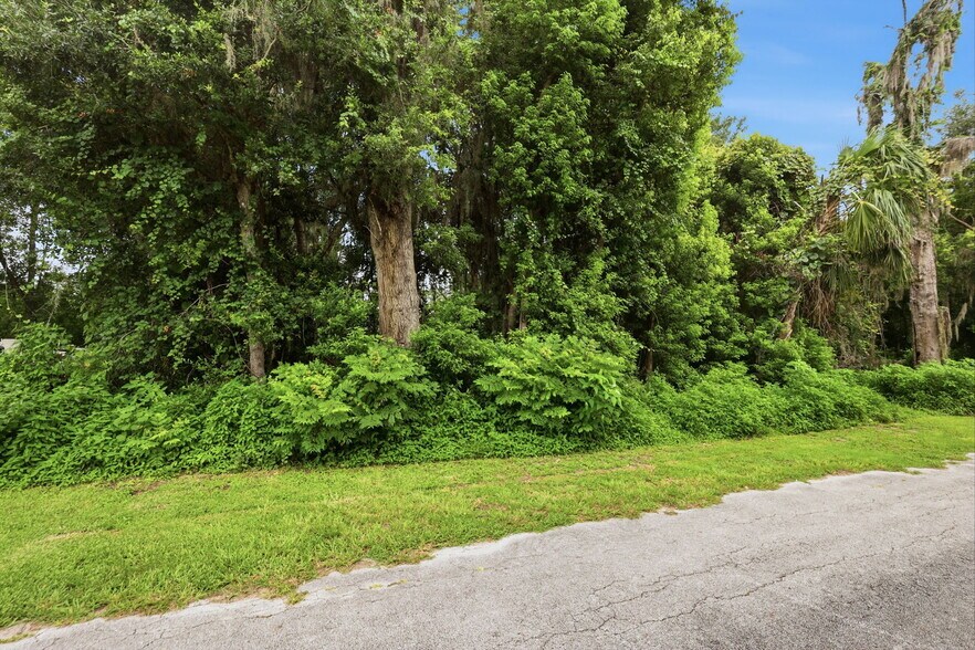 More Photos Of S Lakeview Dr, Lake Helen Land For Sale