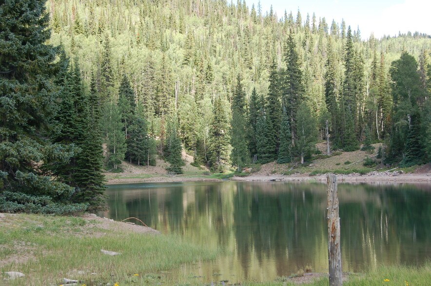 More Photos Of Lake Beaver E, Beaver Land For Sale