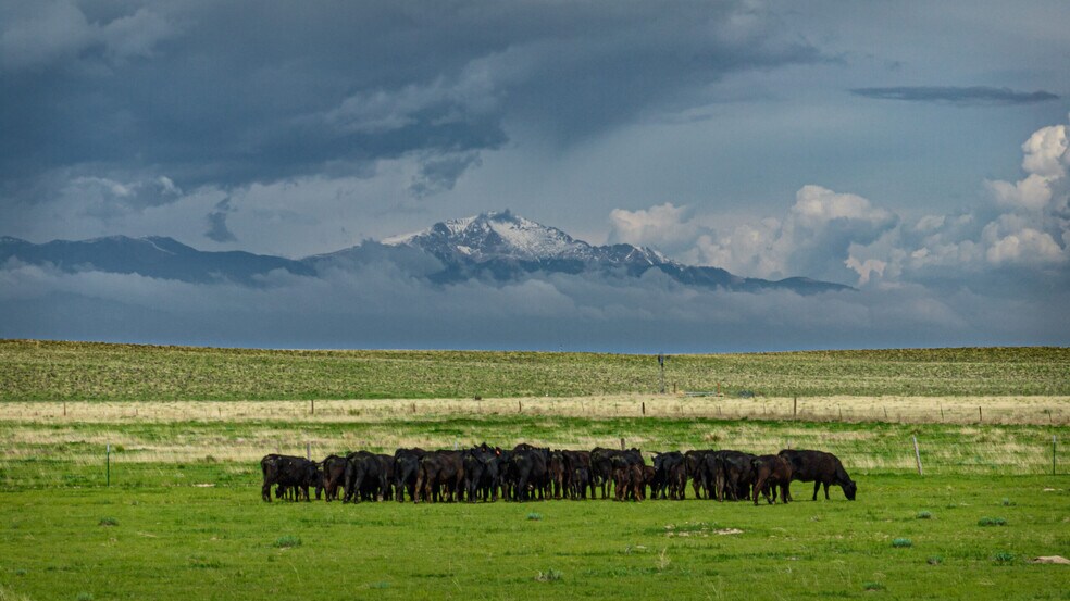 More Photos Of Squirrel Creek Road, Colorado Springs Land For Sale