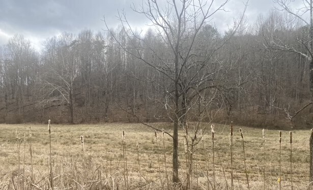 More Photos Of Route 3, Hamlin Land For Sale