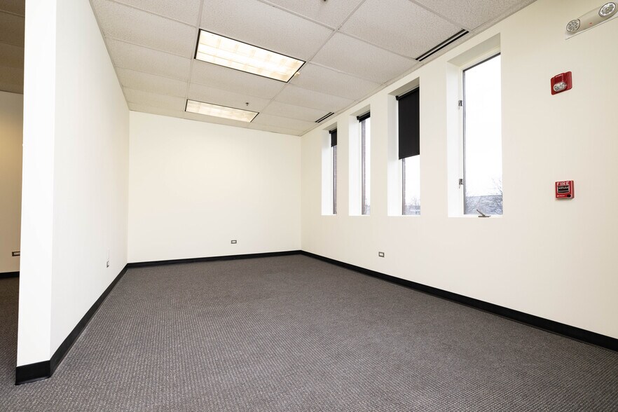 More Photos Of 335-367 Remington Blvd, Bolingbrook Light Manufacturing For Lease