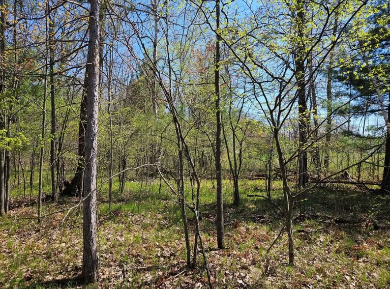 More Photos Of 2935 S Wisconsin Ave, Rice Lake Land For Sale