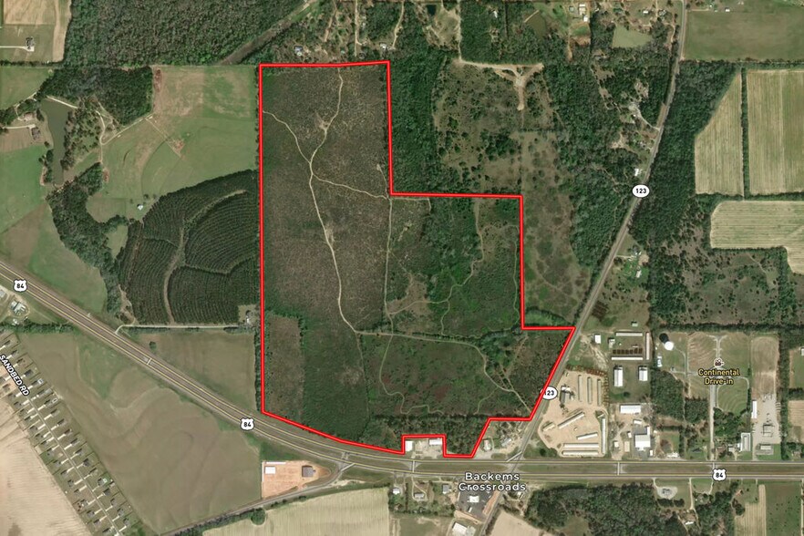 More Photos Of US 84 hwy, Newton Land For Sale