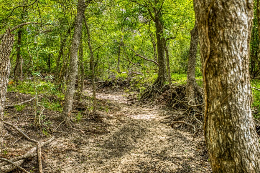 More Photos Of 20751 FM 1155 E, Washington Land For Sale