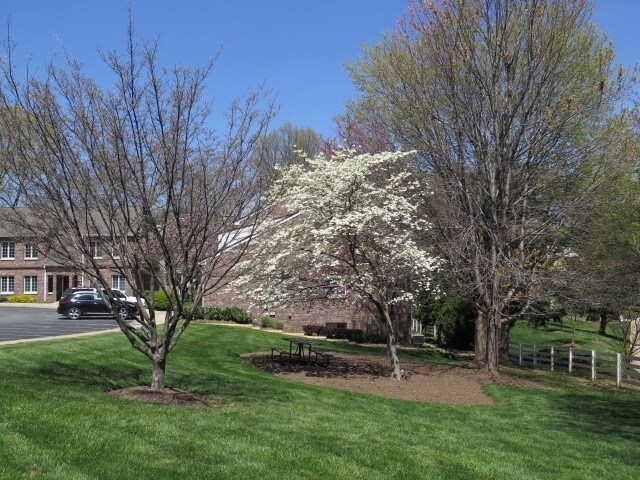 More Photos Of 11700-11706 Bowman Green Dr, Reston Office For Lease