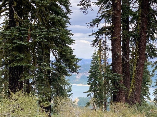 More Photos Of 7582 Buck Brush, Portola Hotel For Sale