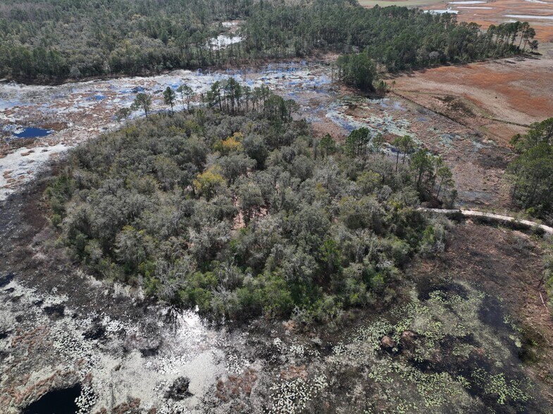 More Photos Of 9570 NE 35th st, Bronson Land For Sale