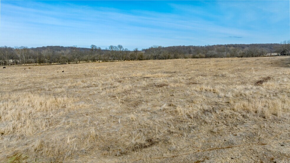 More Photos Of 17430 State HWY 0, Stark City Land For Sale