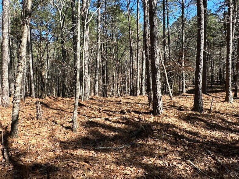 More Photos Of 3472 Prior Station Rd, Cedartown Land For Sale