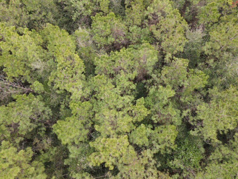 More Photos Of 0 Baldwin St, Satsuma Land For Sale