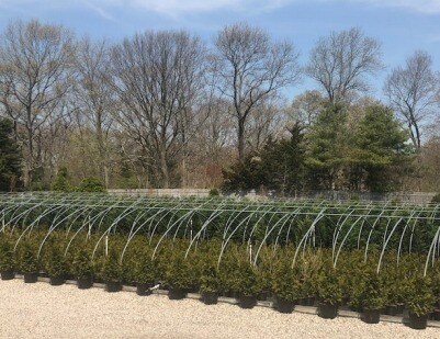 More Photos Of 185 N Country Rd, Mount Sinai Garden Center For Sale