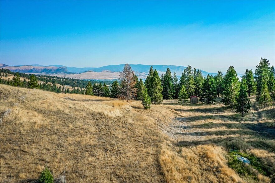 More Photos Of 29011 Walking Horse Ln, Big Arm Land For Sale