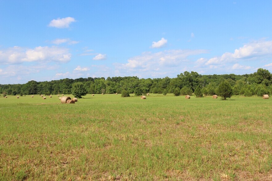 More Photos Of 278 Highway 64 E, Conway Land For Sale