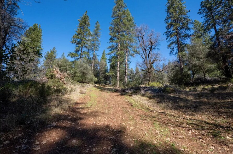 More Photos Of Anderson Estates, Placerville Land For Sale