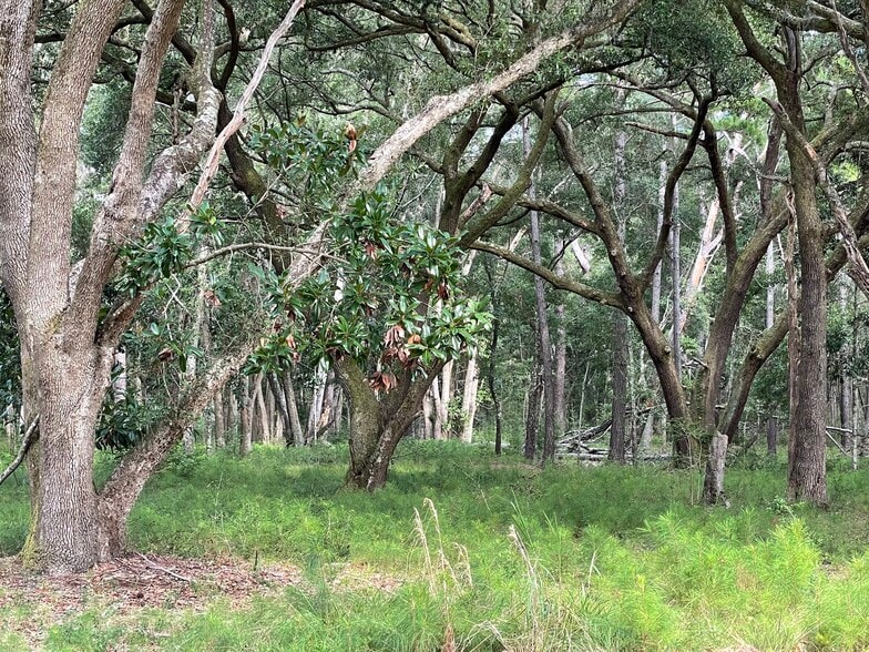 More Photos Of 0 King Rail Lane, Edisto Island Land For Sale