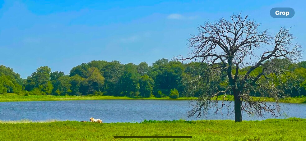 Primary Photo Of FM 933 Patton Lake rd, Aquilla Land For Sale