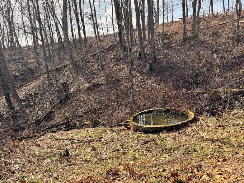 More Photos Of 15 GLECOE Rd, Dellroy Land For Sale