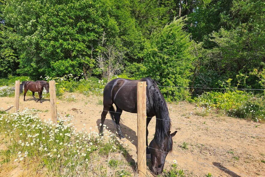 More Photos Of 47266 SW Carpenter Creek Rd, Forest Grove Land For Sale
