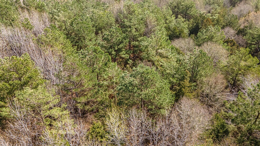 More Photos Of 16558 State Highway 155, Tyler Land For Sale