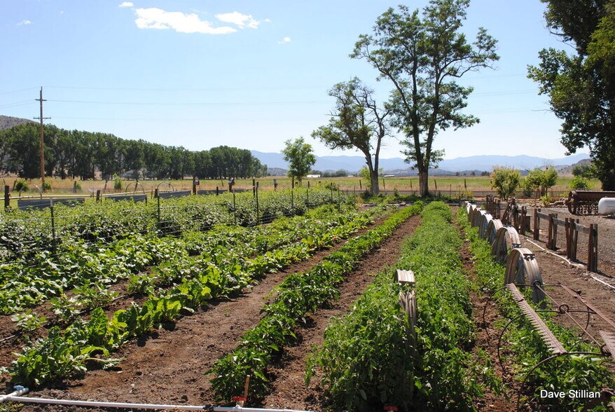 More Photos Of 3104 Harry Cash Rd, Montague Land For Sale