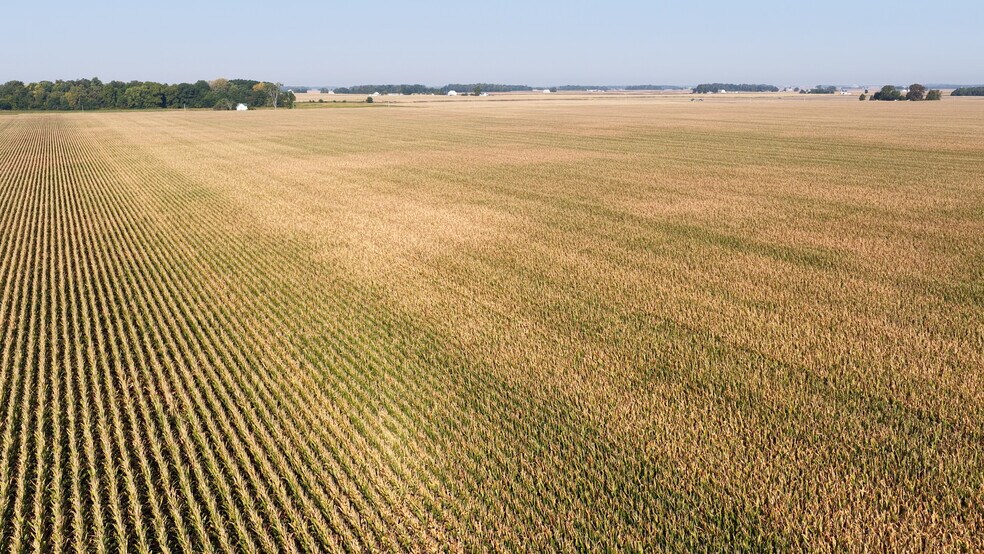 More Photos Of 9992 County Road 300 East, Walton Land For Sale