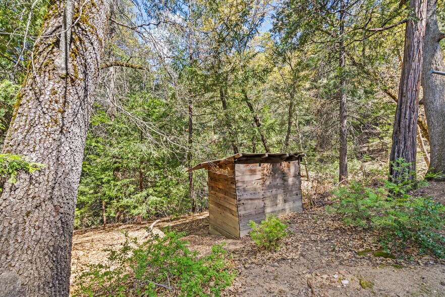More Photos Of Palomar Divide Truck Trail, Palomar Mountain Land For Sale