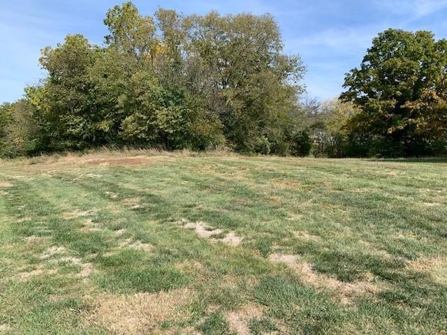 More Photos Of NE Twin Oaks Pkwy & J Hwy, Peculiar Land For Sale