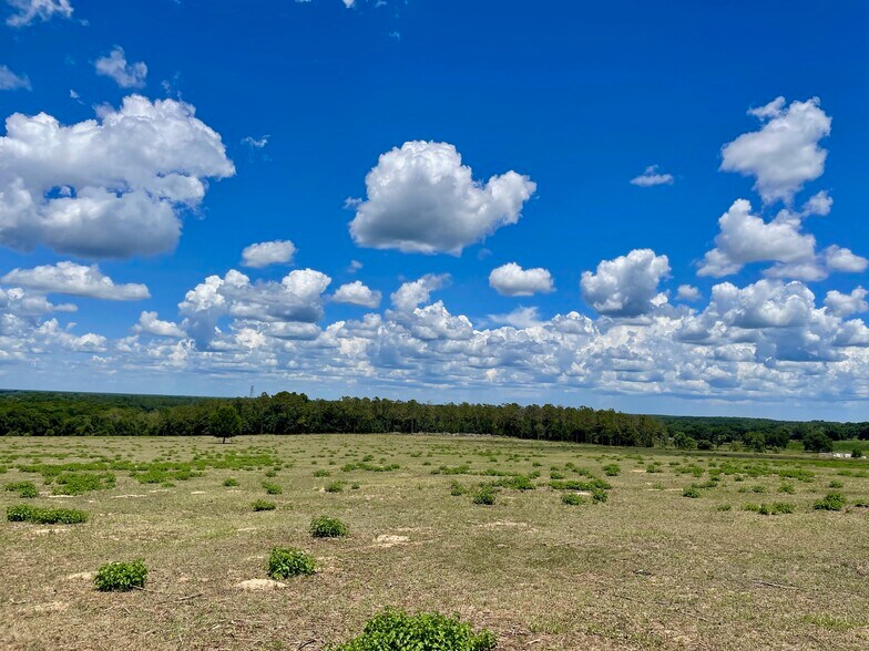 More Photos Of 0 Parrish Grove Rd, Dade City Land For Sale