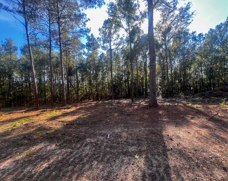 More Photos Of 0 Highway 198, Lucedale Land For Sale