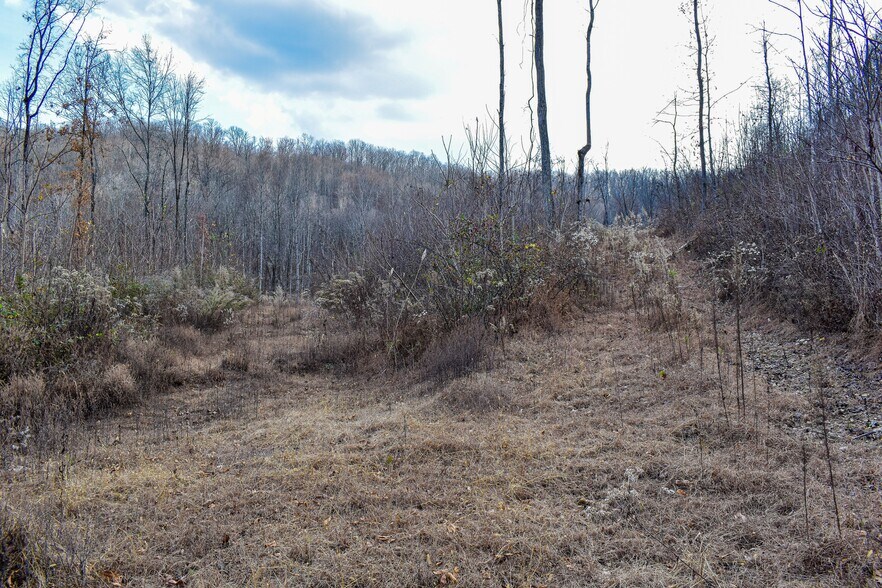 More Photos Of 126 Bolton Point Rd, South Pittsburg Land For Sale