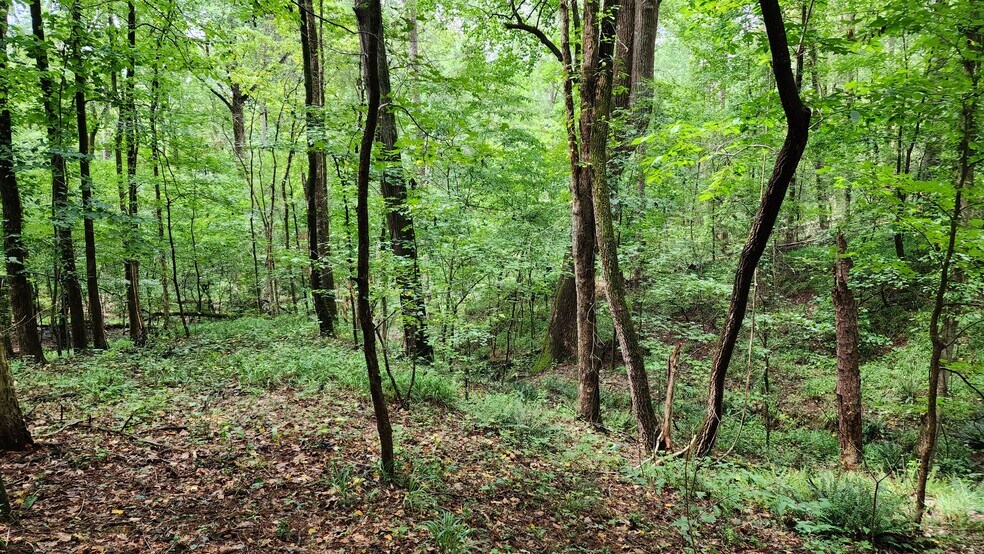 More Photos Of 1661 Friendship Rd, Hoschton Land For Sale