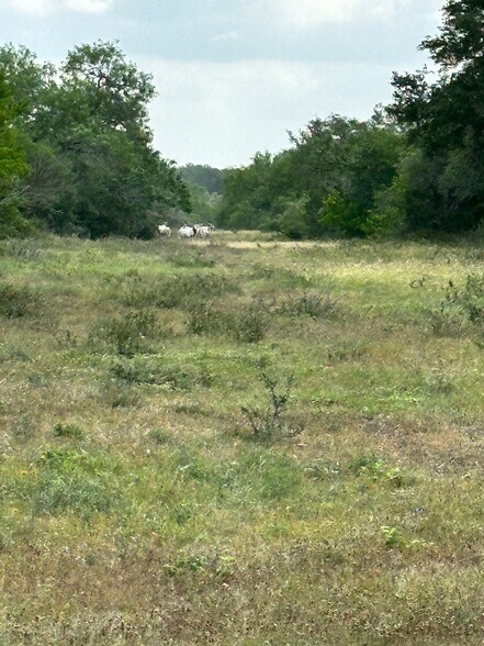More Photos Of 5734 County Road 305, Beeville Land For Lease