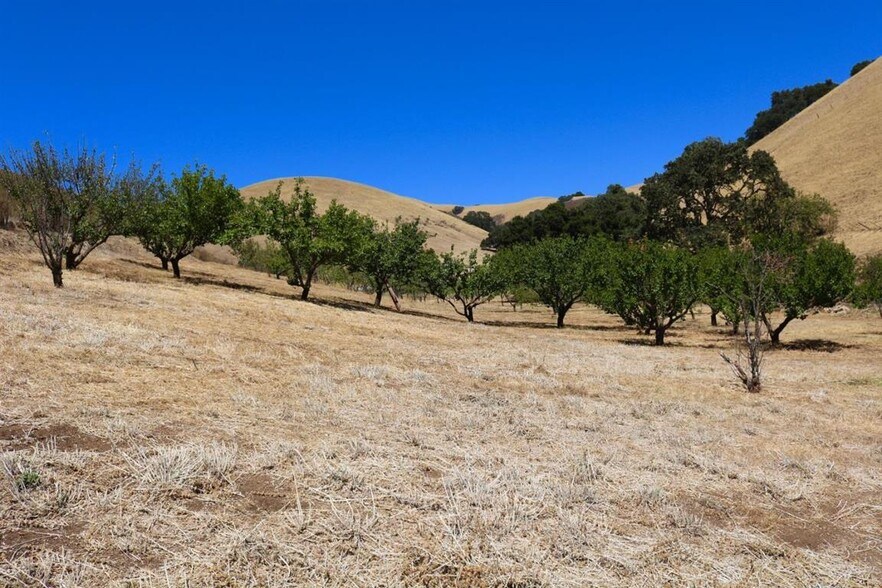 More Photos Of 32800 Johnson Canyon Rd, Gonzales Land For Sale