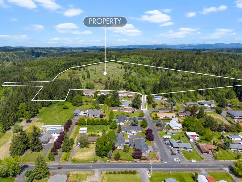 Primary Photo Of 0 Germaine Dr., Chehalis Land For Sale