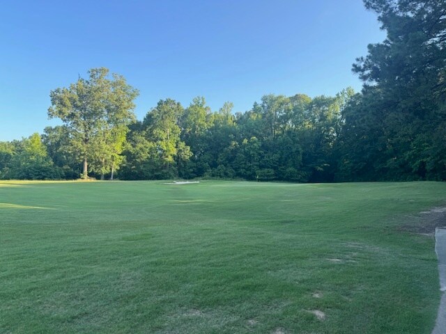 More Photos Of extension Fairway Drive Rd, Natchez Land For Sale