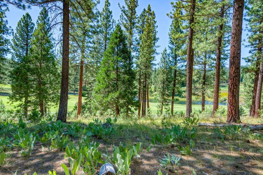 More Photos Of 241 Fox Sparrow, Portola Land For Sale