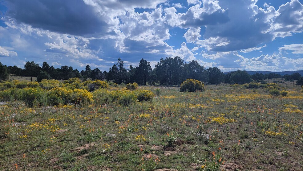 More Photos Of 3658 Ice Caves Rd, Ramah Restaurant For Sale