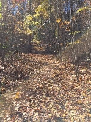 More Photos Of County Road 27 / cross St. Greeley Road, Taghkanic Land For Sale