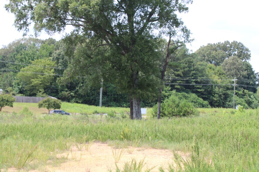 More Photos Of 00 High 305, Olive Branch Land For Sale